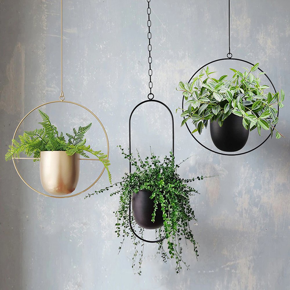 Metal Hanging Flower Pot Cannoli